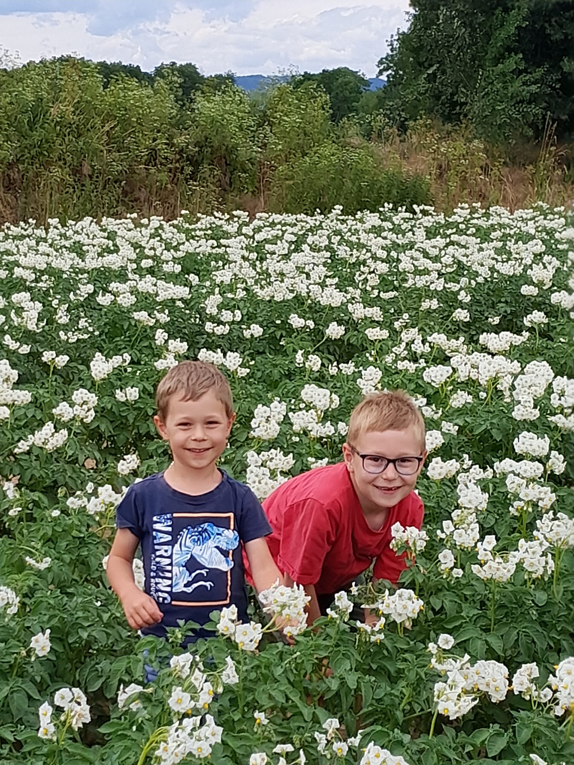 Kinder Nachwuchs Kartoffelfeld Blüte bienenfreundlich Naturfreunde Parkstetten Landkreis-Straubing-Bogen