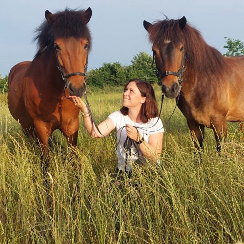 Isländer Islandpferd Freunde fürs Leben Reiten Leidenschaft Pferdeliebe Tölt Island Immenhof Abenteuer Hobby
