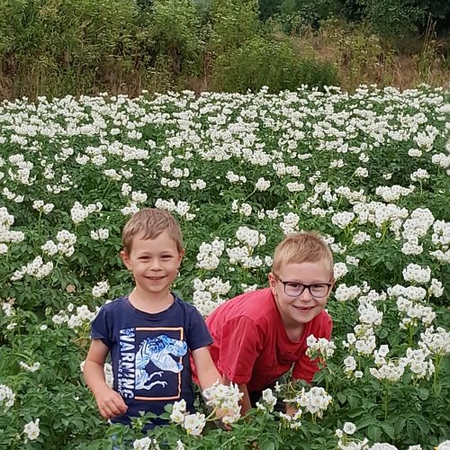 Kinder Nachwuchs Kartoffelfeld Blüte bienenfreundlich Naturfreunde Parkstetten Landkreis-Straubing-Bogen